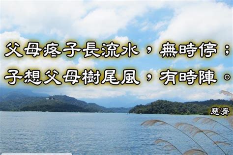 父母疼子長流水 子孝父母樹尾風|慈濟道侶叢書